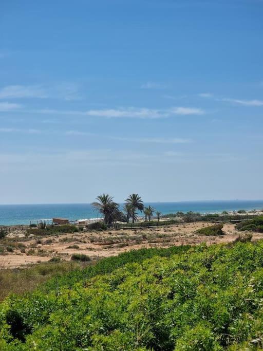 Marbella Sea View Apartament Arenales del Sol Ngoại thất bức ảnh